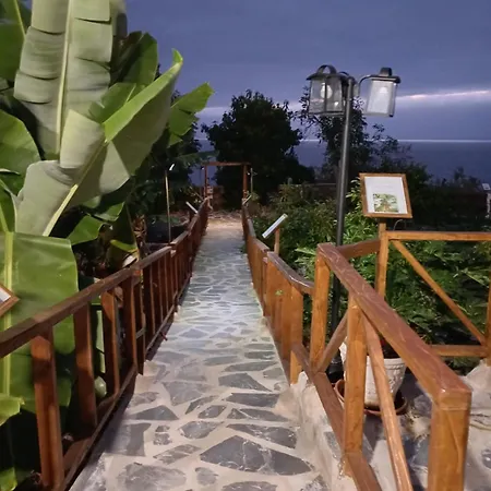 La Era De Catuja *